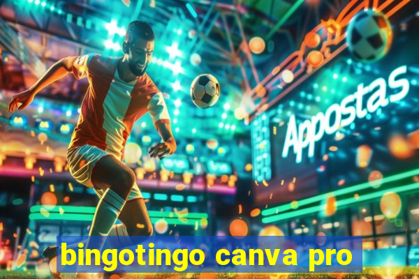 bingotingo canva pro